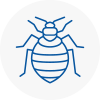 Bed Bug Extermination In Balham