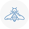 Bee Nest Removal Balham