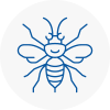 Balham Hornet Nest Removals