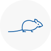 Mice Exterminators In Balham