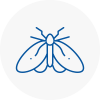 Moth Control Specialists In Balham