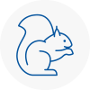 Balham Rodent Removals